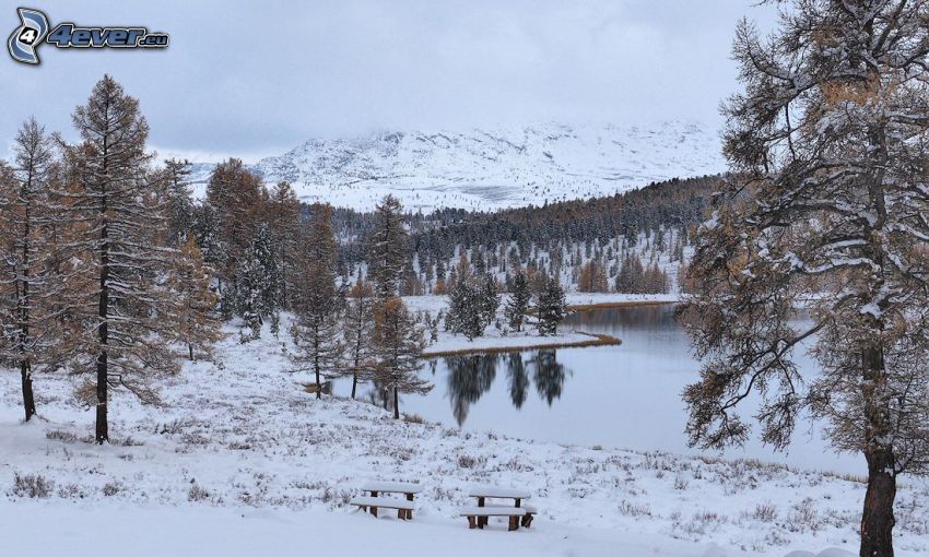 See, verschneite Landschaft, schneebedeckte Bänke