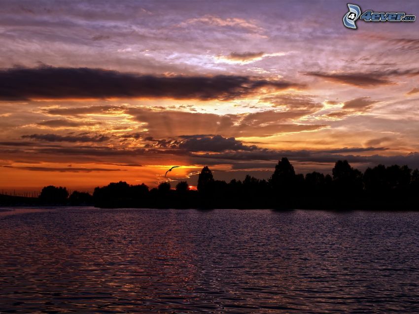 Sonnenuntergang am See, Wald, Wolken