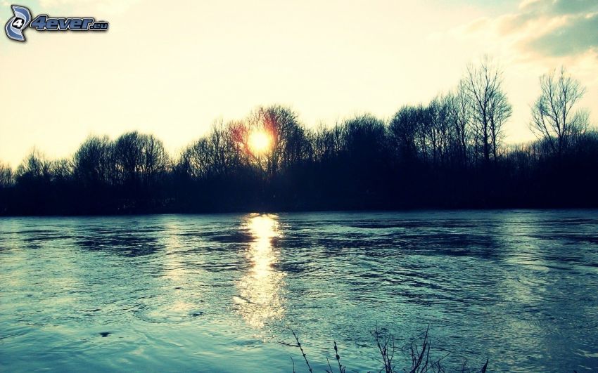 Sonnenuntergang über dem Fluss, Bäum Silhouetten