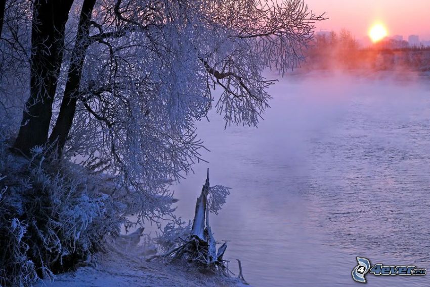 Sonnenuntergang über dem Fluss, gefrorener Baum