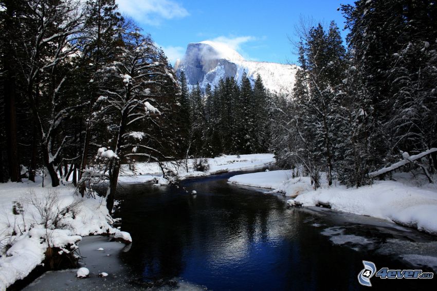 verschneite Landschaft, Fluss im Wald, Half Dome, Yosemite-Nationalpark