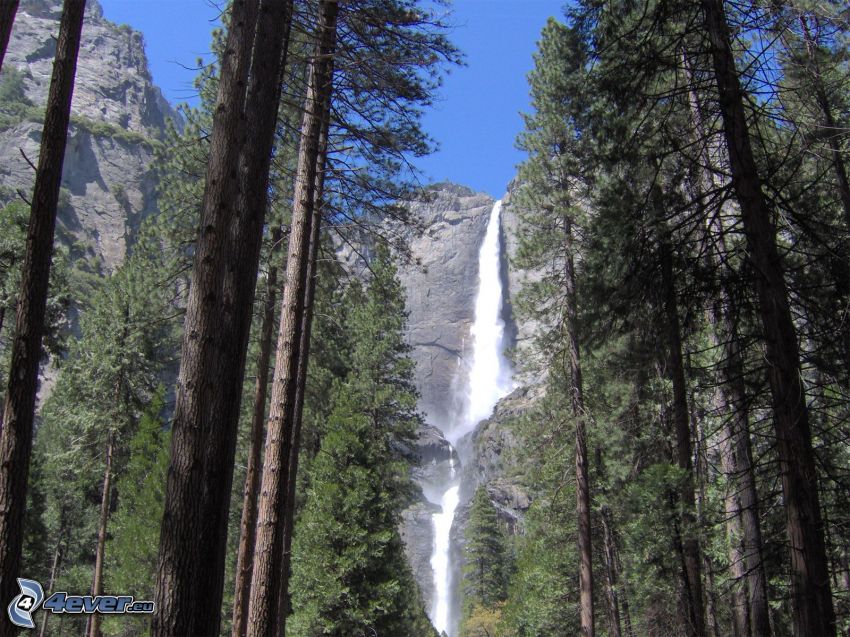 Wasserfall Upper, riesiger Wasserfall, Wald, Yosemite-Nationalpark