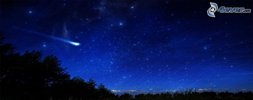 Nachthimmel, Komet, Silhouette eines Waldes