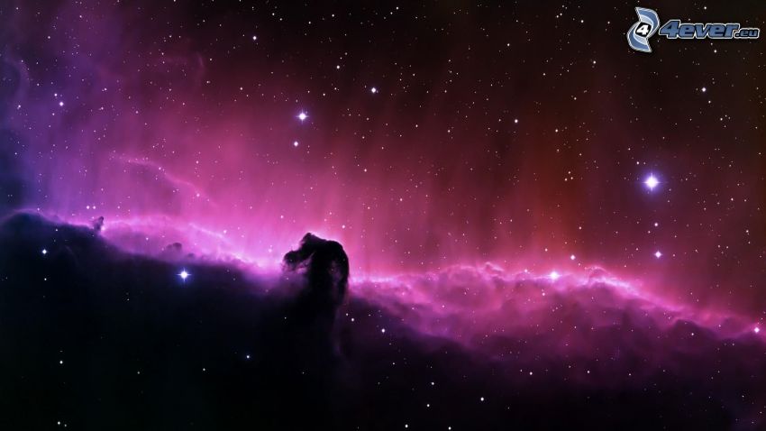Pferdekopfnebel, Universum, Sterne, Orion-Nebel