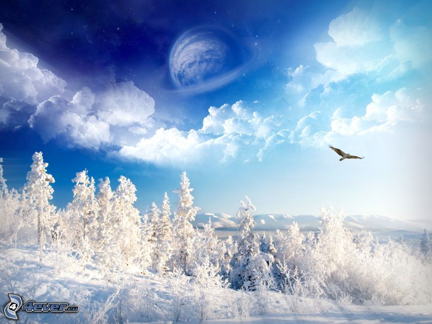 Winterlandschaft, verschneiter Wald, gefrorene Bäume, Schnee, Raubvogel, Wolken, Mond, digitale Kunst