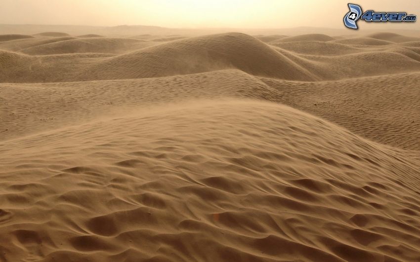 Wüste, Sand