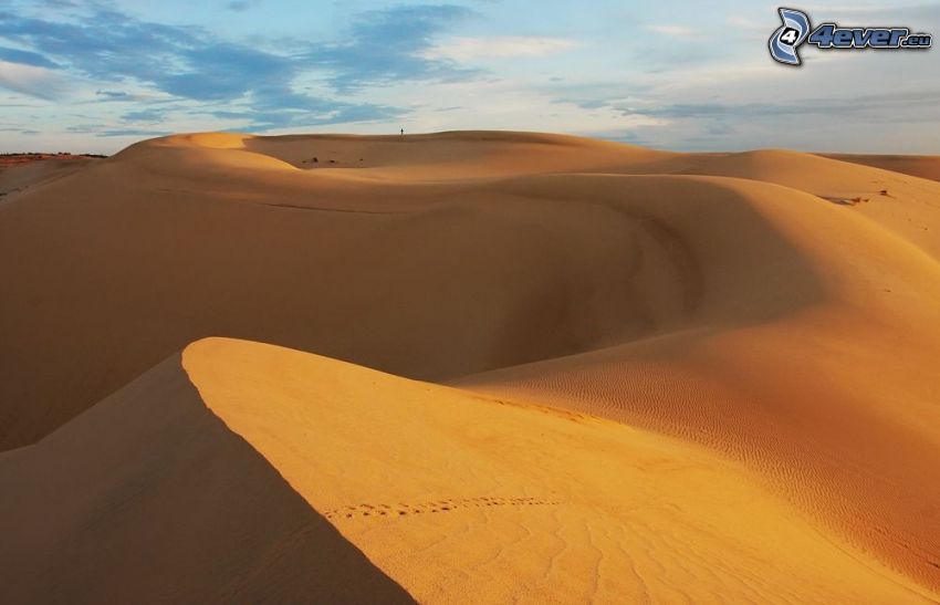 Wüste, Sanddünen