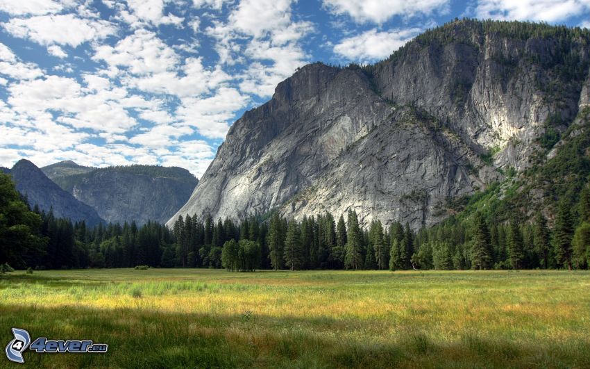 Yosemite-Nationalpark, felsige Berge, Wiese, Wald, Wolken