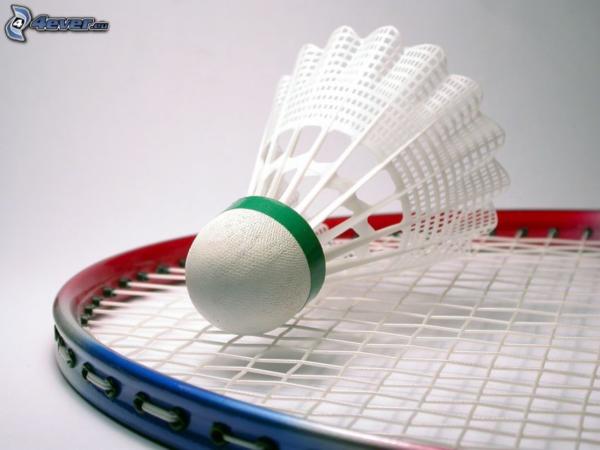 Federball, badminton-Schläger