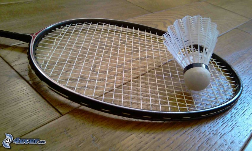 Federball, badminton-Schläger