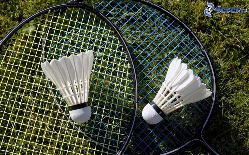 Federbälle, badminton-Schläger