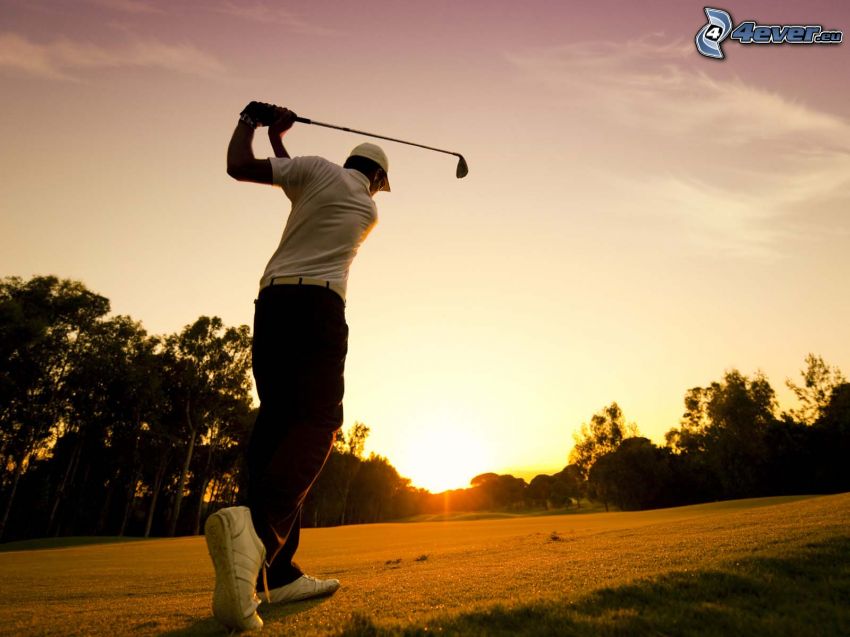 golf, Golfspieler, Sonnenuntergang hinter dem Baum, Bäum Silhouetten