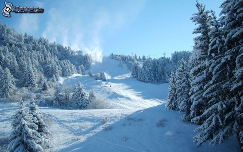 Abhang, Skifahrer, verschneite Landschaft