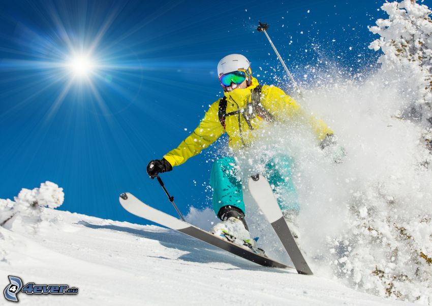 Skifahren, Skifahrer, Sonne, schneebedeckter Baum