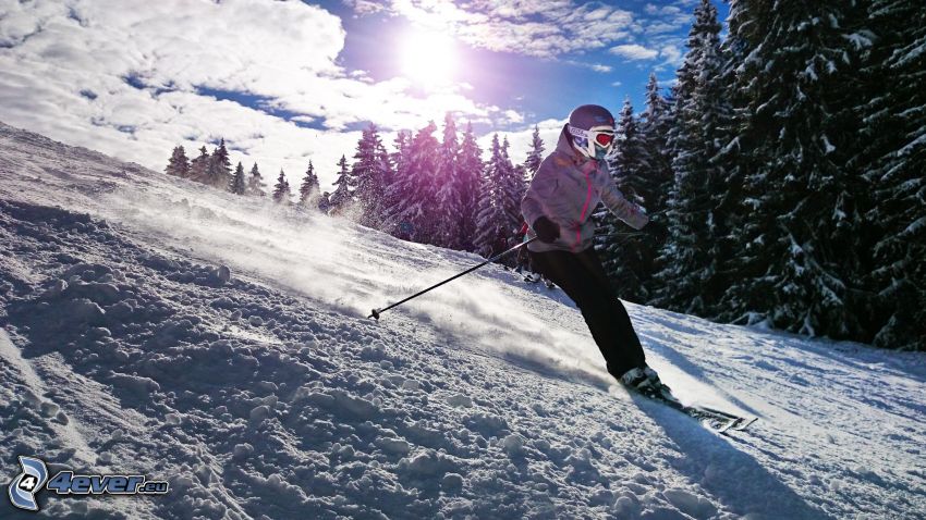 Skifahren, Skifahrer, verschneiter Wald, Abhang