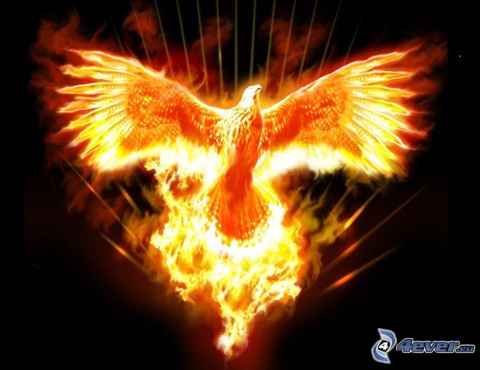 Phoenix, feuriger Vogel, Feuer