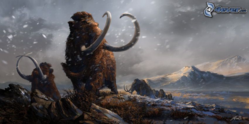Mammuts, Schnee, felsiger Hügel