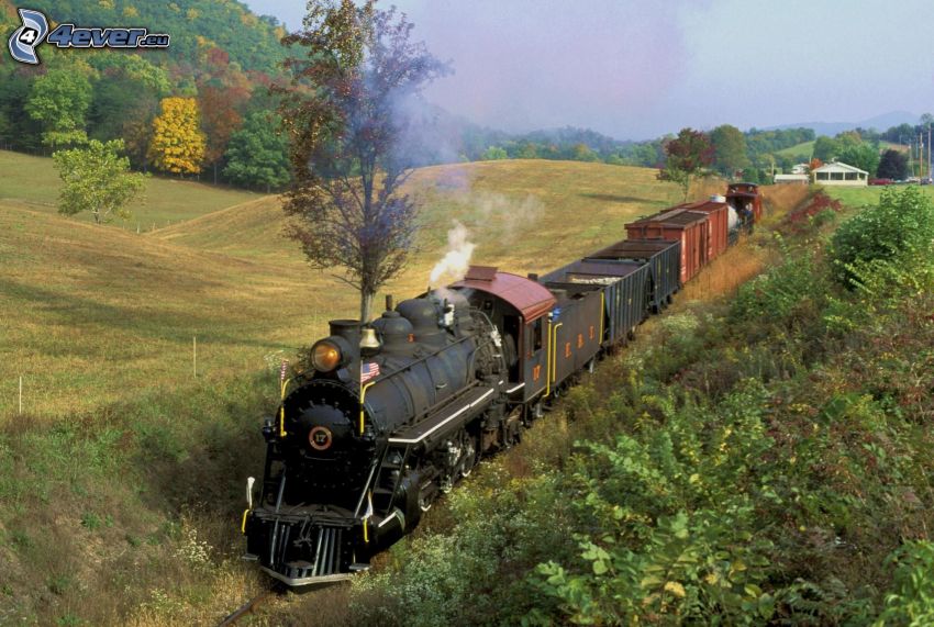 Dampfzug, Güterzug, herbstliche Landschaft