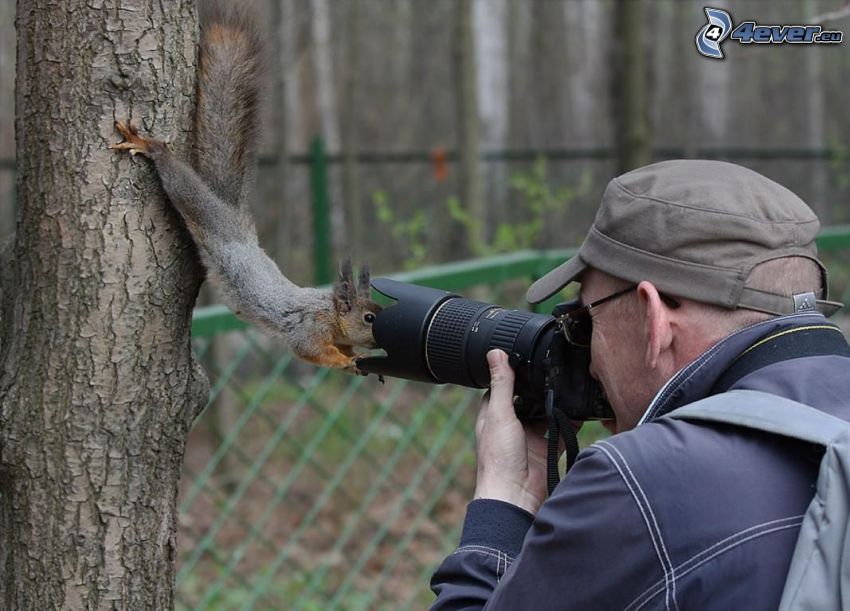 Eichhörnchen, Fotografieren, Fotograf