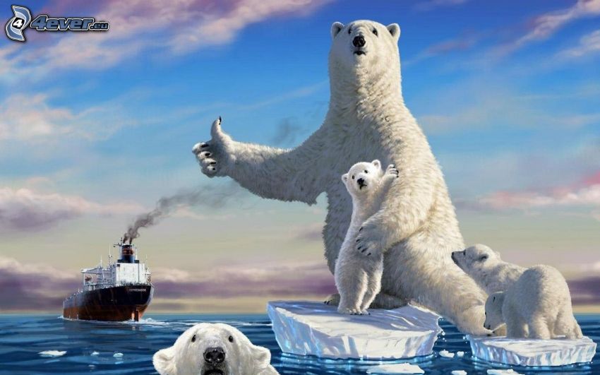 Eisbären, Jungtiere, Schiff, Eisschollen, Daumen nach oben