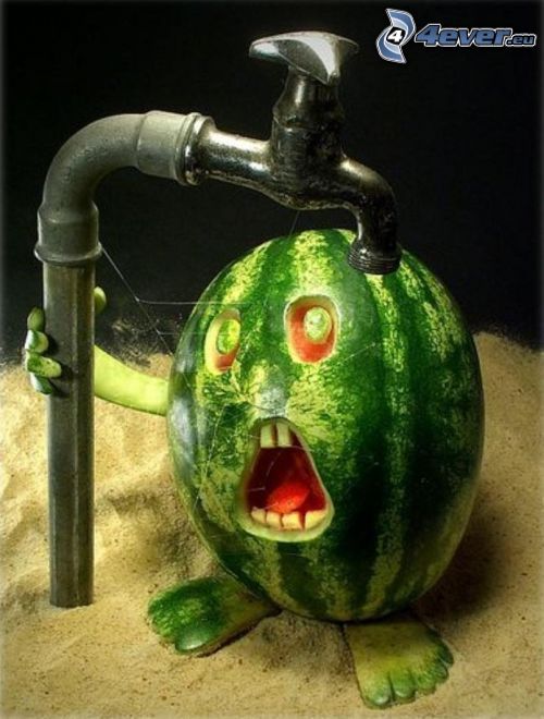 Wassermelon