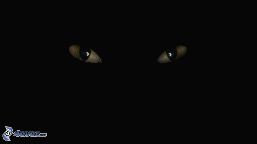 Augen in der Dunkelheit