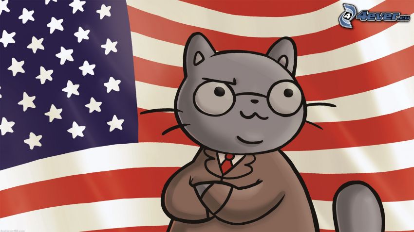 cartoon-Katze, amerikanische Flagge