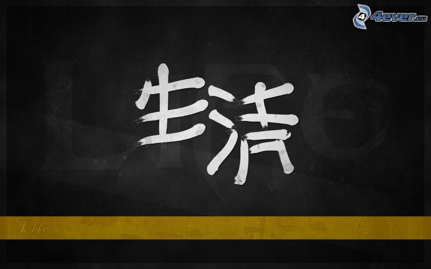 chinesische Schriftzeichen