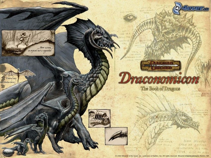 Black Dragon, Dungeons & Dragons, Draconomicon, schwarzer Drache