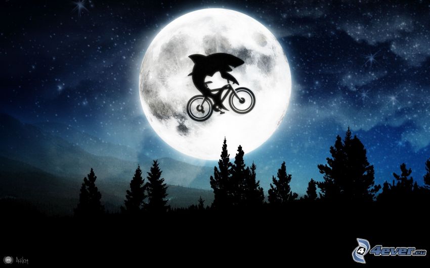 Delphin auf einem Fahrrad, Mond, Vollmond, Sprung auf dem Fahrrad, Silhouette eines Waldes