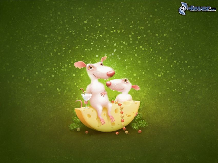 Ratten, Käse, grüner Hintergrund