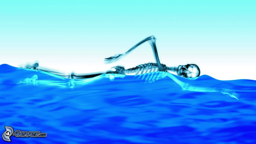 Skelett, schwimmen