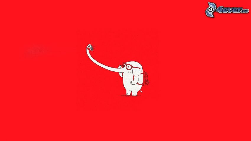 Elefant, roter Hintergrund