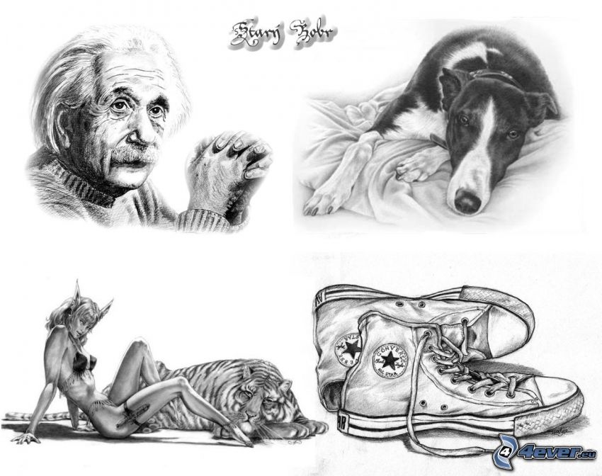 Albert Einstein, Converse, Hund, Teufelin