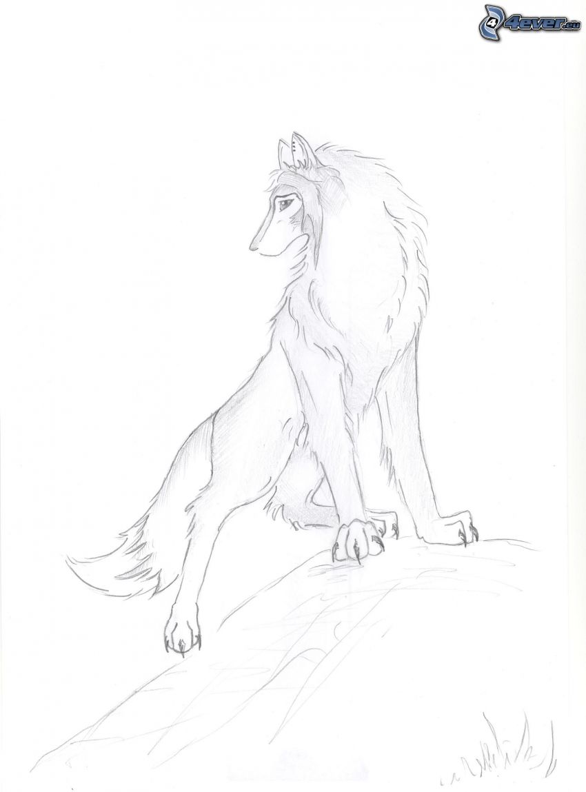 gezeichneter Wolf