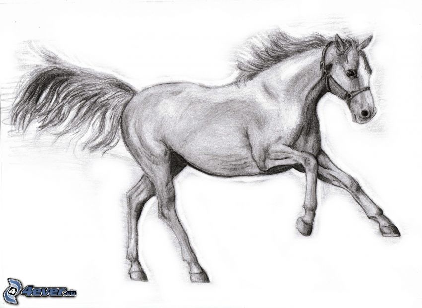 gezeichnetes Pferd