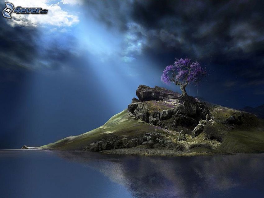 Insel, lila Baum, dunkle Wolken, Spiegelung