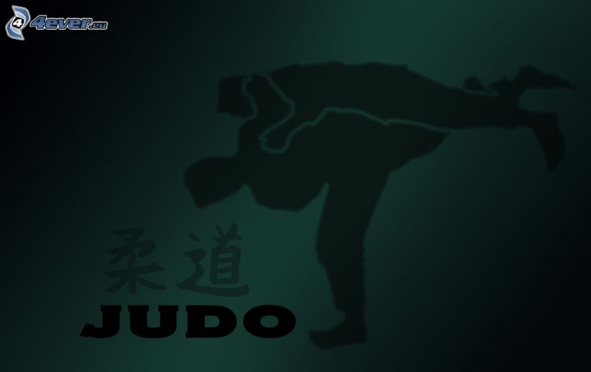 judo