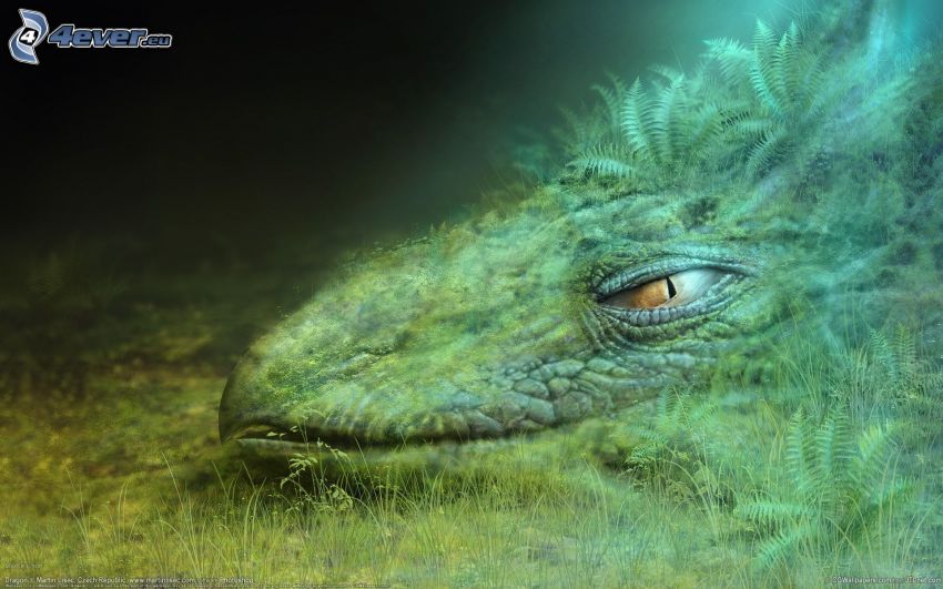 Krokodil, Krokodil-Auge
