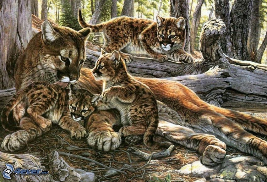 Leoparden, Jungtiere