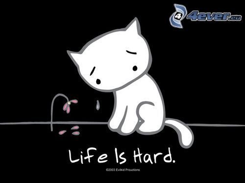 life is hard, cartoon-Katze