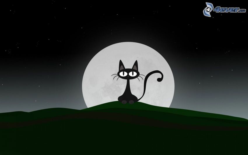 schwarze Katze, Mond, Nacht, Sterne