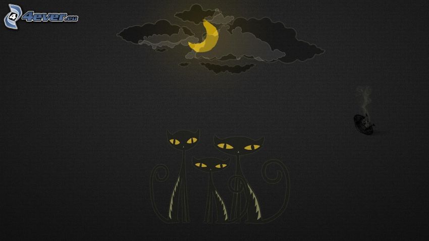 Schwarze Katzen, Mond, Nacht