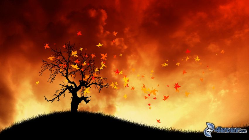 Silhouette des Baumes, gelbe Blätter, der rote Himmel