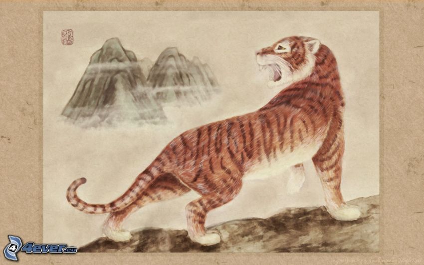 Tiger, Bild