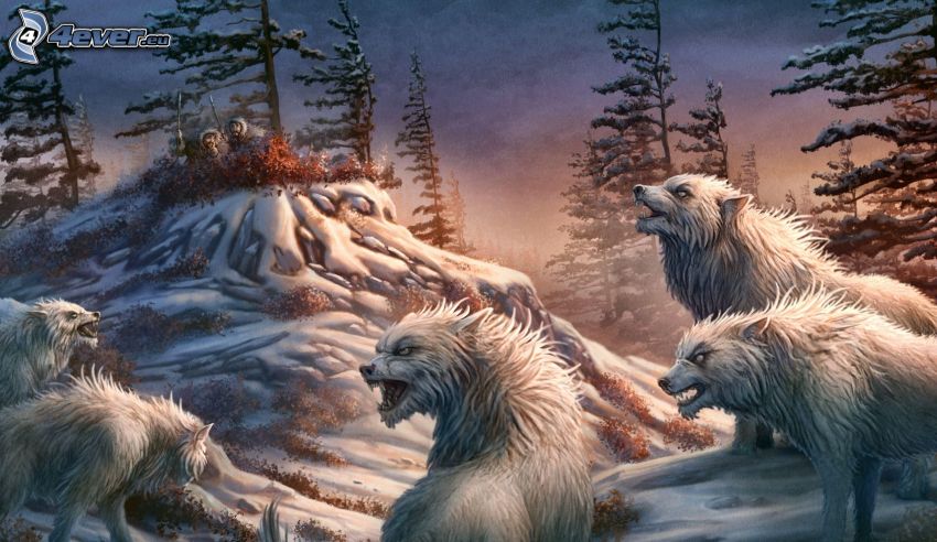 weißen Wölfe, Schnee
