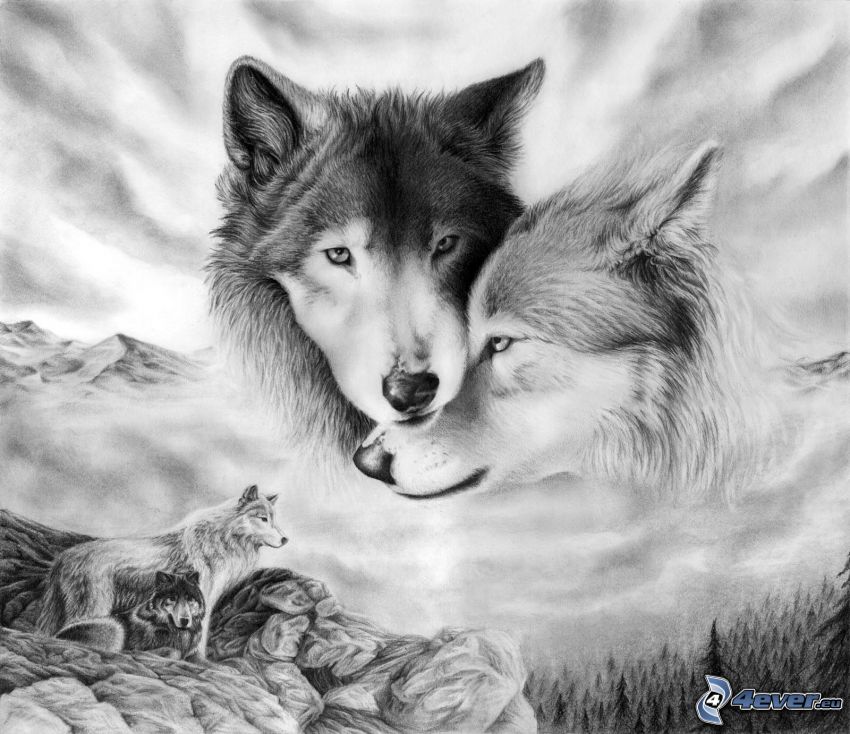 Wolf und Wölfin, Bäume, Hügel