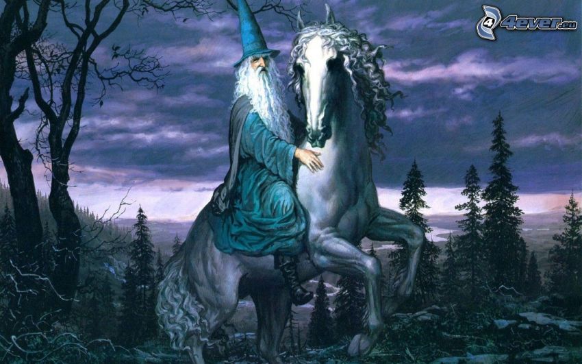 Zauberer, Druide, weißes Pferd