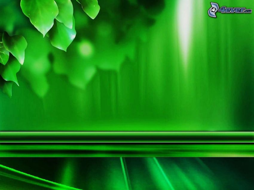 gröna blad, grön bakgrund