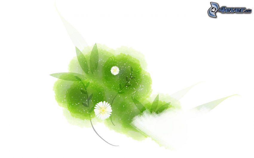 vita blommor, abstrakta blad